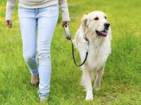 K9-Coach Home Dog Training (3) - Услуги за миленичиња