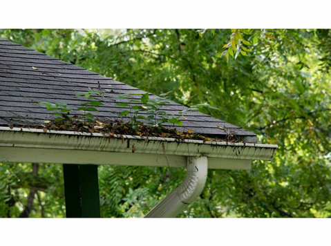 Red Poppy Gutter Solutions - Home & Garden Services