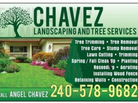 Chavez Landscaping & Tree Services (1) - باغبانی اور لینڈ سکیپنگ