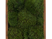 Moss Pure (7) - Mobilier
