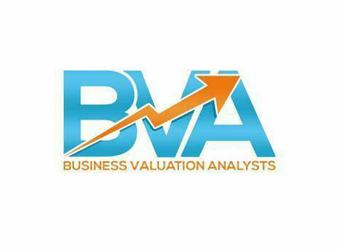 BUSINESS VALUATION ANALYSTS, INC. - Consultancy