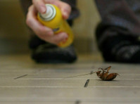 Frightland Termite Removal Experts (2) - Servizi Casa e Giardino