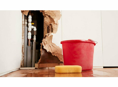 Coconino County Water Damage Repair - Υπηρεσίες σπιτιού και κήπου