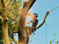 Hickory Town Tree Service (2) - Gardeners & Landscaping