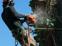 Hickory Town Tree Service (3) - Κηπουροί & Εξωραϊσμός