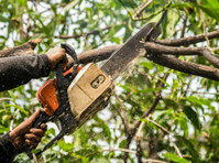 Hickory Town Tree Service (4) - باغبانی اور لینڈ سکیپنگ