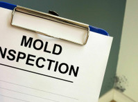 Hibiscus City Mold Inspection Co (2) - Home & Garden Services