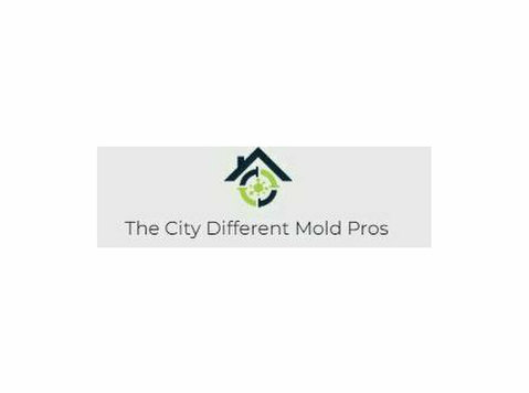 The City Different Mold Pros - Maison & Jardinage