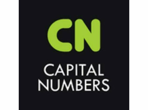 Capital Numbers - Consultancy