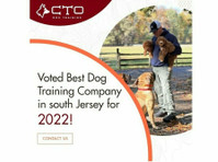 CTO Dog Training (1) - Dzīvnieku pakalpojumi