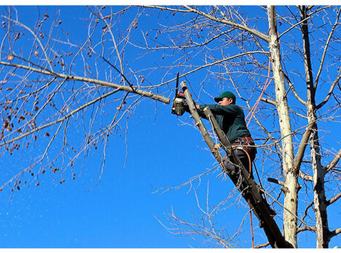 Novi Tree Service - Градинари и уредување на земјиште