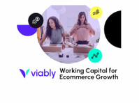 Viably (2) - Οικονομικοί σύμβουλοι