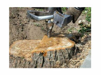 Red Stick Tree Removal Service (1) - Jardiniers & Paysagistes