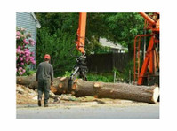Red Stick Tree Removal Service (2) - Jardiniers & Paysagistes