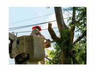 Red Stick Tree Removal Service (3) - Jardineros