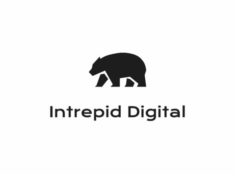 Intrepid Digital - Web-suunnittelu