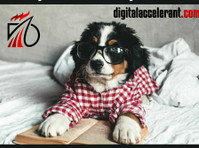 Digital Accelerant Digital Business Cards (6) - Маркетинг и Връзки с обществеността