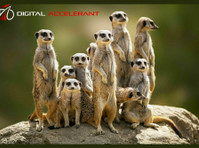 Digital Accelerant Digital Business Cards (8) - Marketing i PR