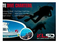 Key Largo Scuba Diving (3) - Wassersport & Tauchen