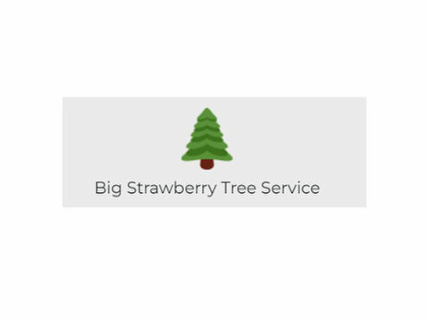 Big Strawberry Tree Service - Gardeners & Landscaping