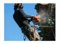 Big Strawberry Tree Service (1) - Tuinierders & Hoveniers
