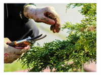 Northville Tree Service (1) - باغبانی اور لینڈ سکیپنگ