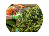Parker Tree Trimming (2) - Home & Garden Services