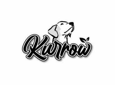 Kurrow - Уеб дизайн