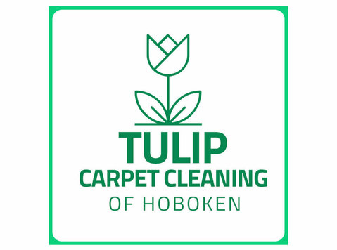 Tulip Carpet Cleaning of Hoboken - Usługi porządkowe