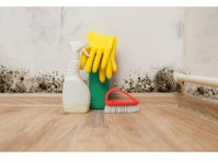 Pro Apopka Mold Removal (3) - Домашни и градинарски услуги