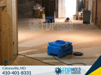 FDP Mold Remediation of Catonsville (3) - Home & Garden Services