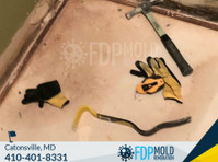 FDP Mold Remediation of Catonsville (4) - Home & Garden Services