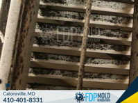FDP Mold Remediation of Catonsville (5) - Υπηρεσίες σπιτιού και κήπου
