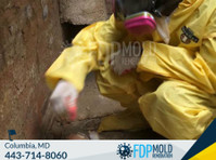 FDP Mold Remediation of Columbia - Дом и Сад