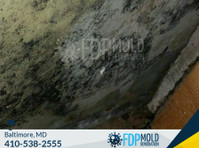 FDP Mold Remediation of Pikesville (1) - Домашни и градинарски услуги