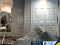 Fdp Mold Remediation of Plainfield (1) - Home & Garden Services