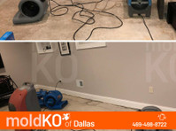 Mold KO of Dallas (2) - Куќни  и градинарски услуги