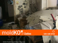 Mold KO of Dallas (3) - Куќни  и градинарски услуги