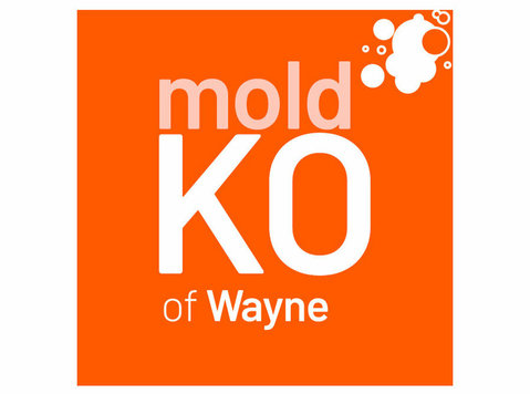 Mold KO of Wayne - Usługi w obrębie domu i ogrodu