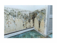 Mold Experts of The Hub City (2) - Home & Garden Services