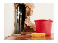 Los Angeles County Water Damage Pros (2) - Home & Garden Services