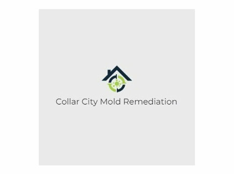 Collar City Mold Remediation - Mājai un dārzam