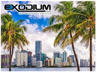 Exodium LLC (1) - Consultancy