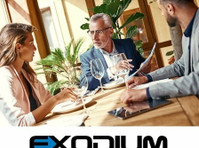 Exodium LLC (2) - Doradztwo