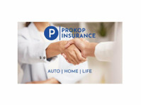 Prokop Insurance Agency (3) - Застрахователните компании