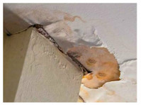 Burlington Professional Mold Remediation (2) - Huis & Tuin Diensten