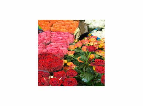 Our Flower Shoppe - Lahjat ja kukat