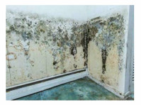 Cumberland Pro Mold Removal (2) - Huis & Tuin Diensten
