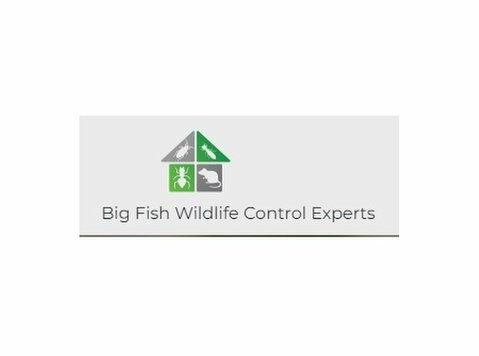 Big Fish Wildlife Control Experts - Usługi w obrębie domu i ogrodu