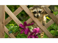 Space City Wildlife Control Solutions (3) - Home & Garden Services